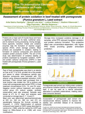 FOODS 2026 poster Arita Sabriu Haxhijaha.pdf